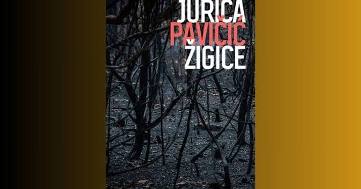 Jurica Pavičić – Žigice