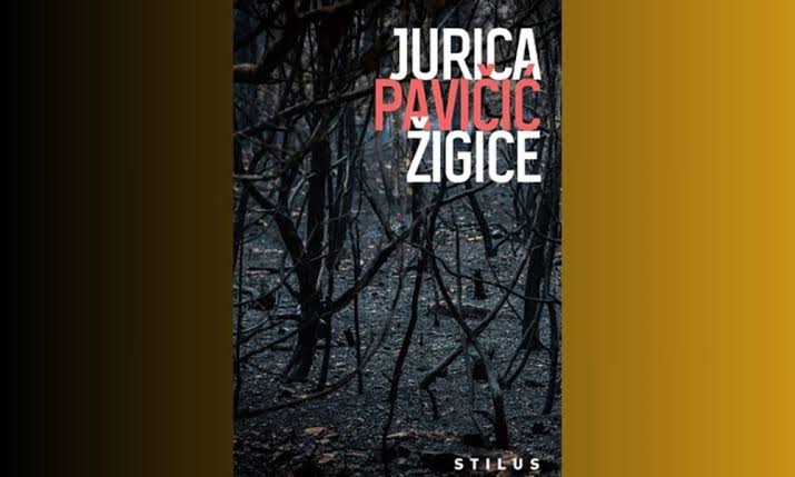 Jurica Pavičić – Žigice